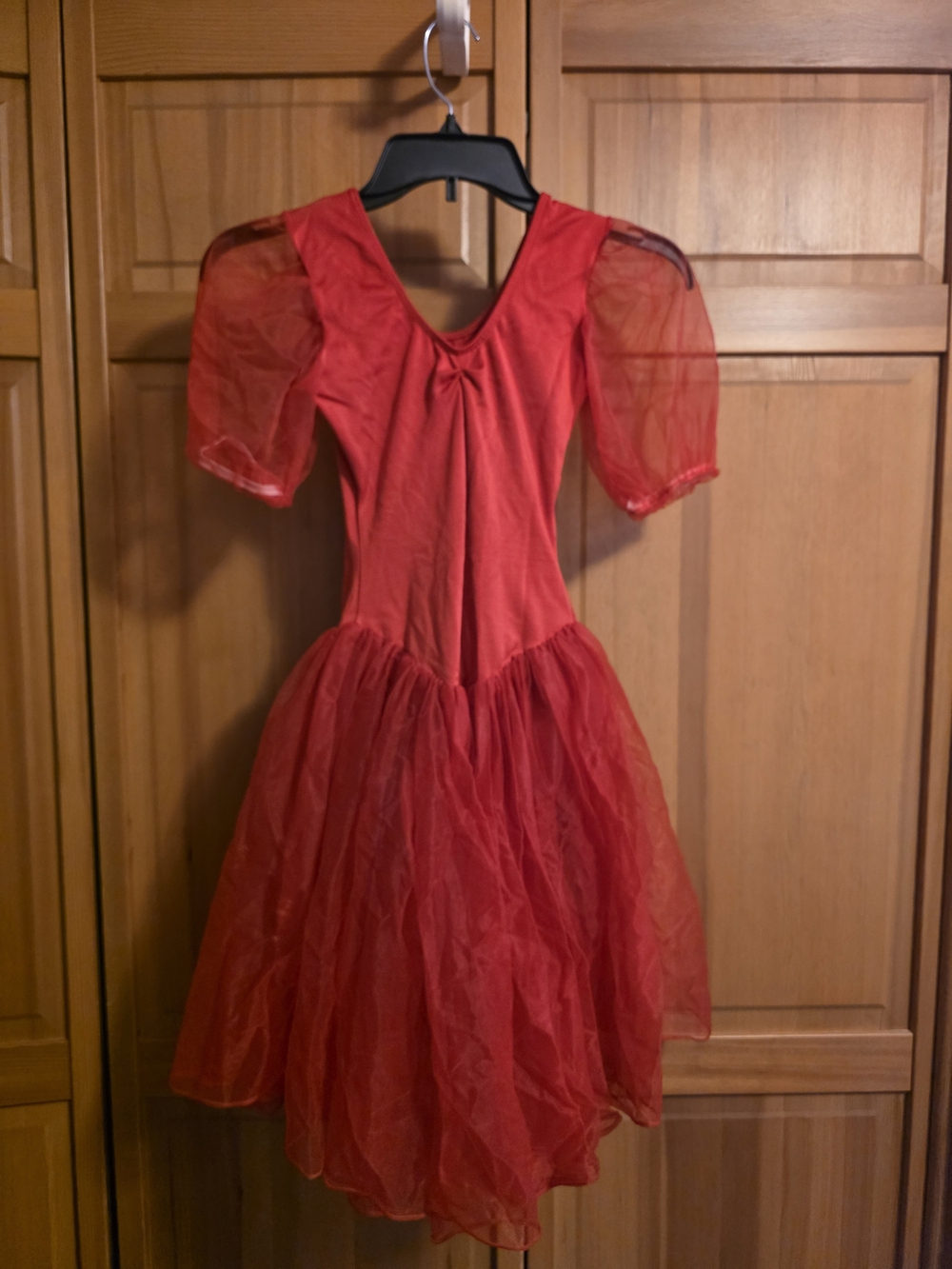 Red Puff-Sleeve Tulle Dance Or Figure Skating Costume Dress for Kids
